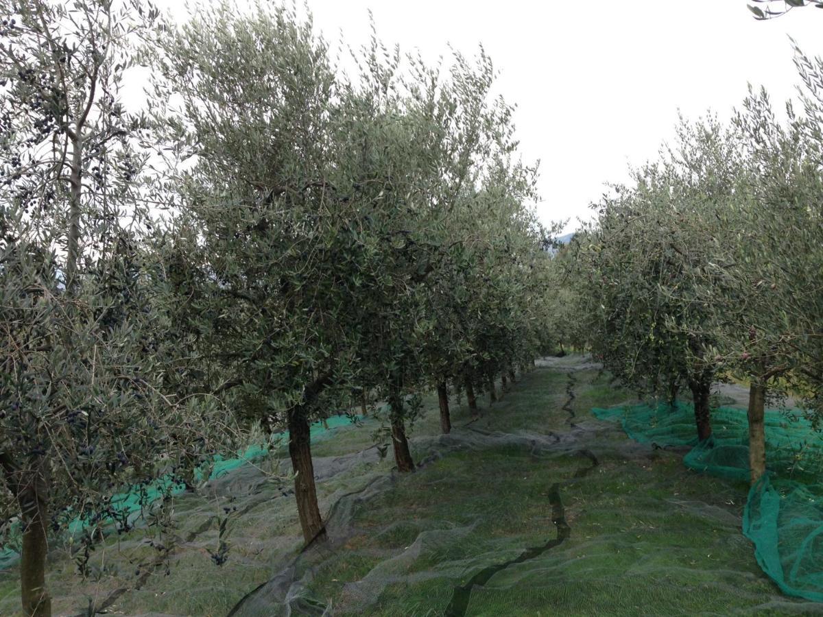 BricherasioAgrialpi By Salfrutta住宿加早餐旅馆 外观 照片